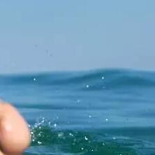 leash_surf_olaian