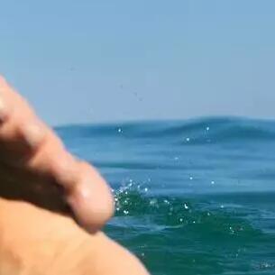 leash_surf_olaian