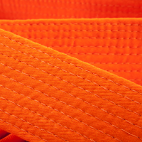 CEINTURE PIQUEE 2,5M ORANGE