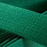 חגורת ג'ודו / קראטה לילדים 2.5 מ' - ירוק