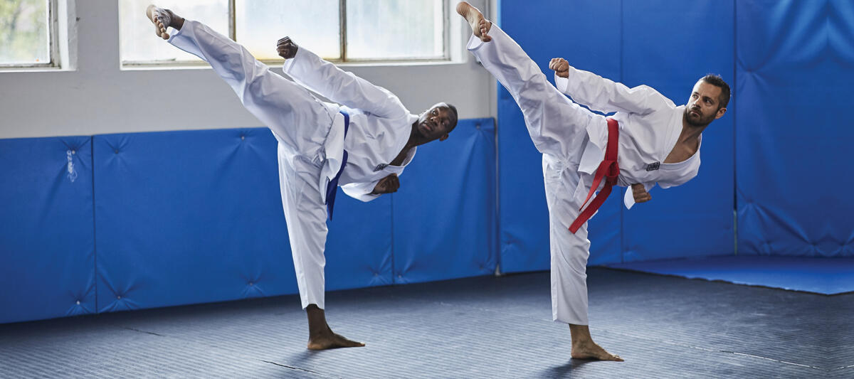 Les ceintures 2024 du taekwondo