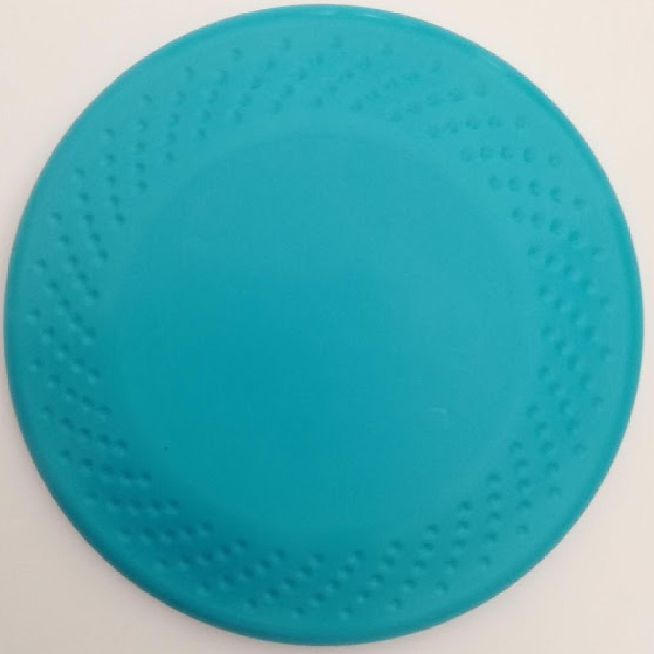K9 DISC picture