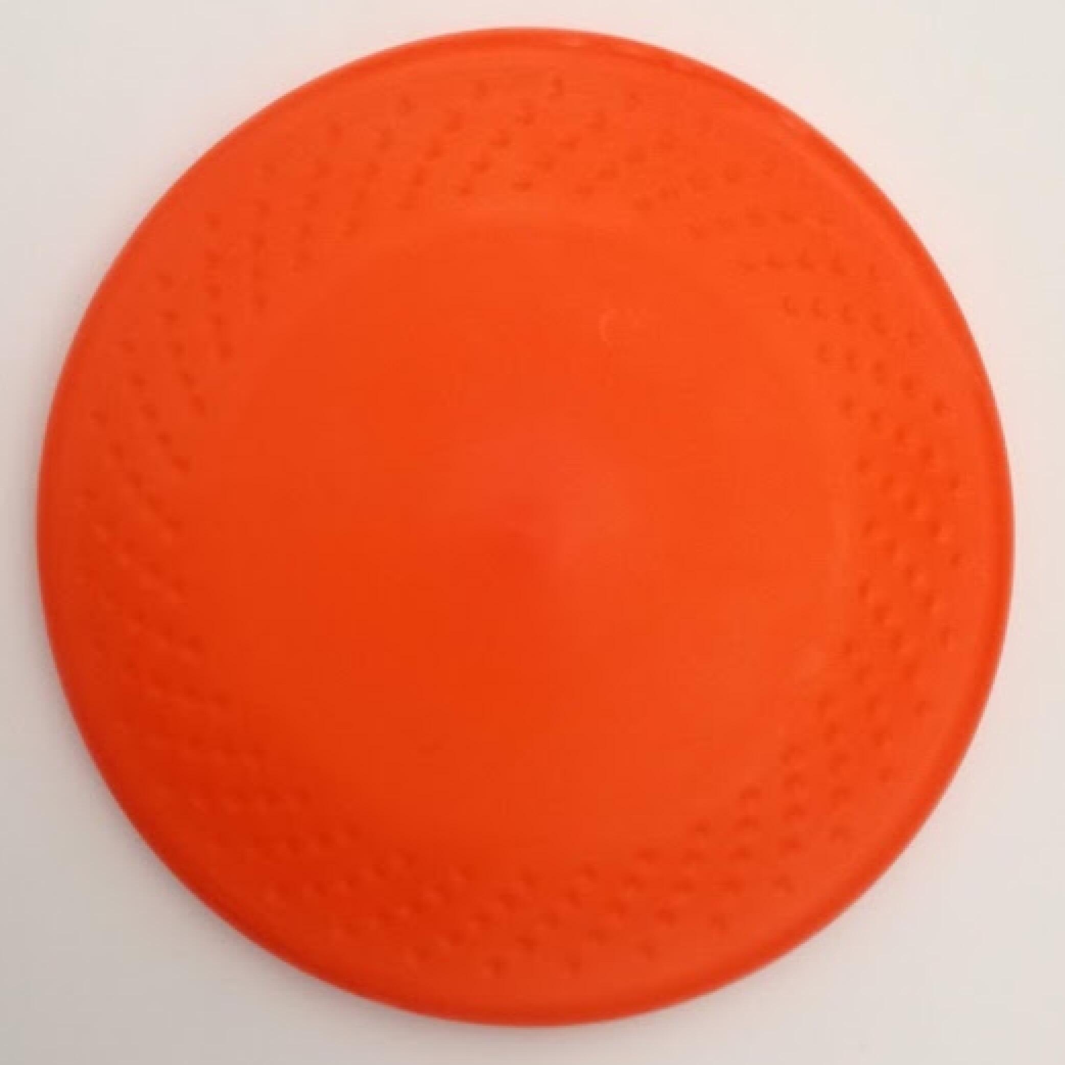 K9-schijf voor disc-dogging 3/10