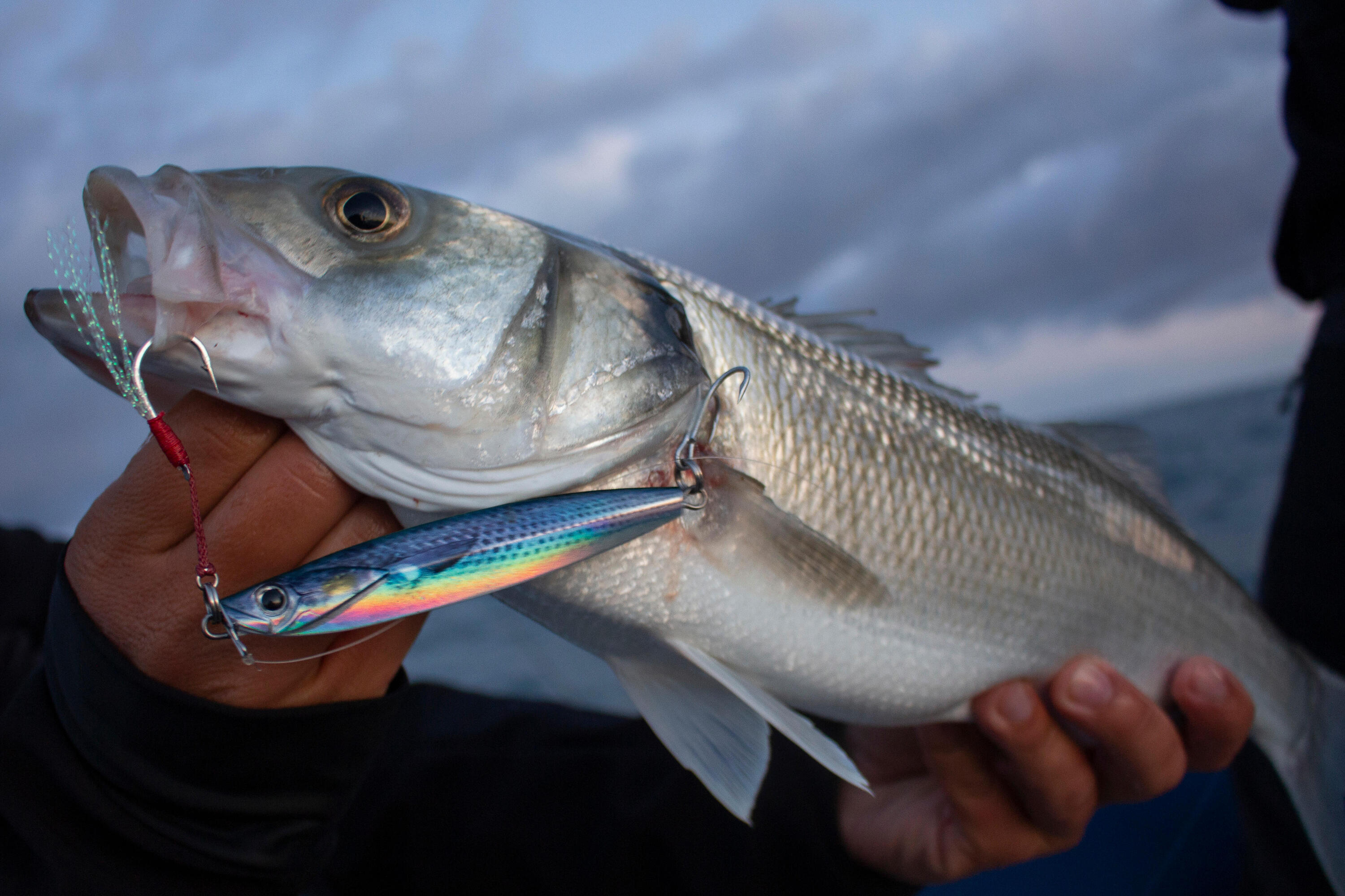 Señuelo Casting Jig Pesca Mar Señuelo Biastos Assist Mújol 20 g 5/5