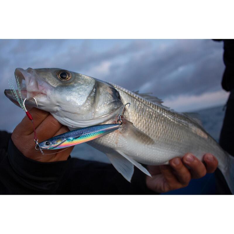 Třpytka na mořský rybolov na nástrahu Casting Jig Biastos Assist 20 g Mullet