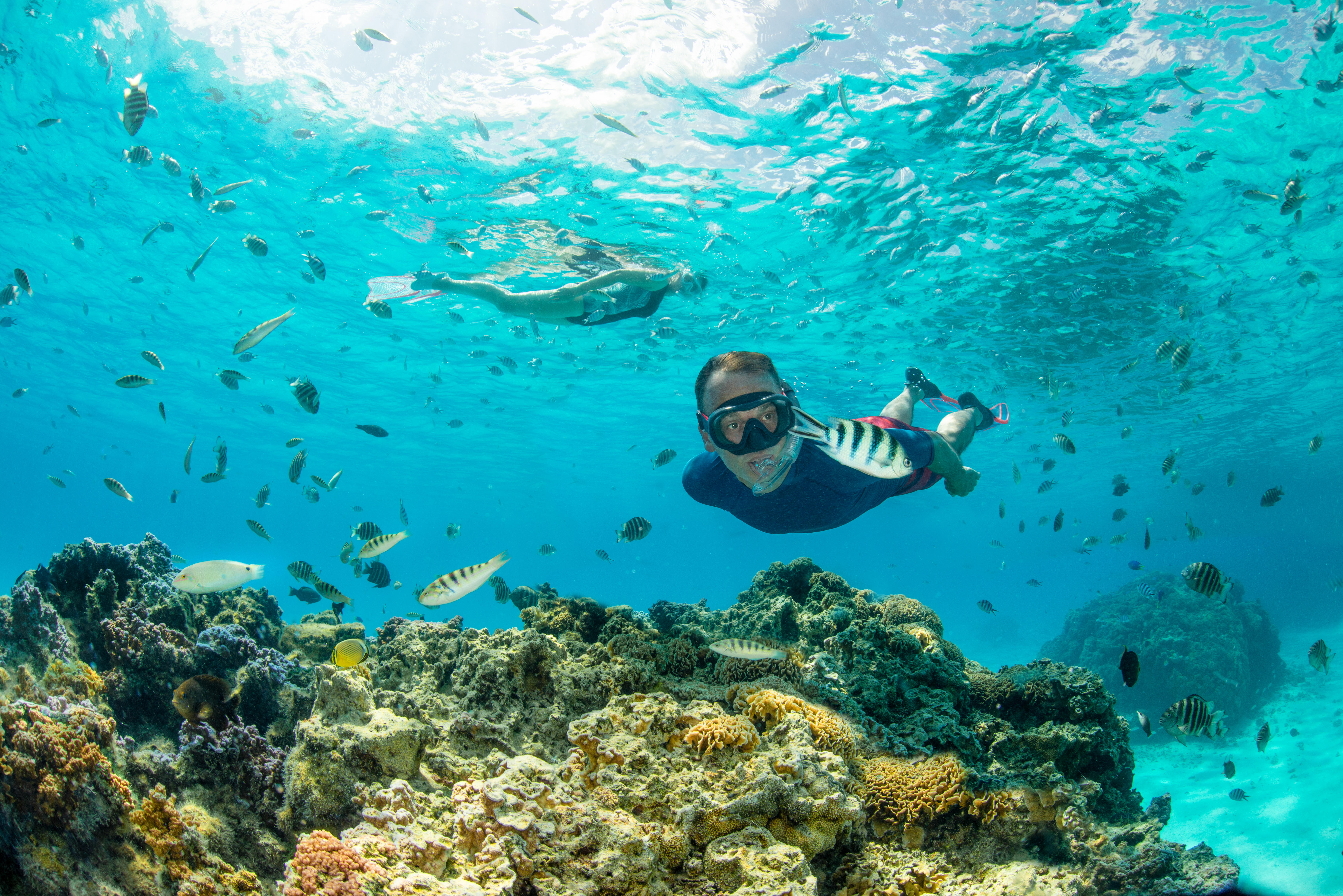 Tub snorkeling SNK 520 gri