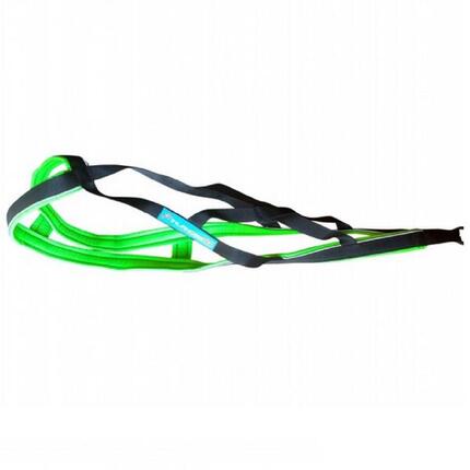 Harnais de canicross, cani-VTT, ski-jöring, Blizzard Beast Vert/Noir