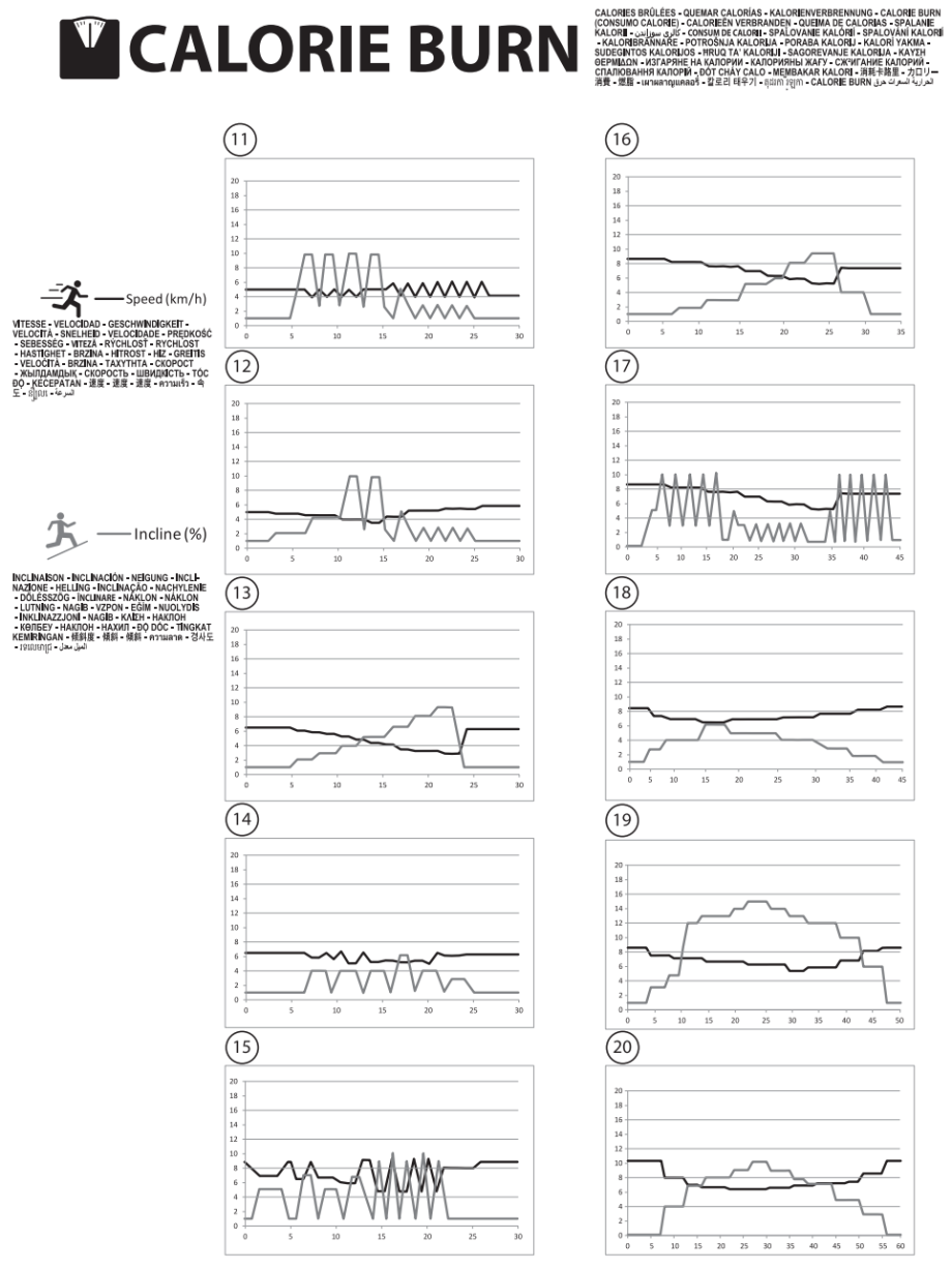 Programme Calorie Burn T990A Programme Calorie Burn T990A