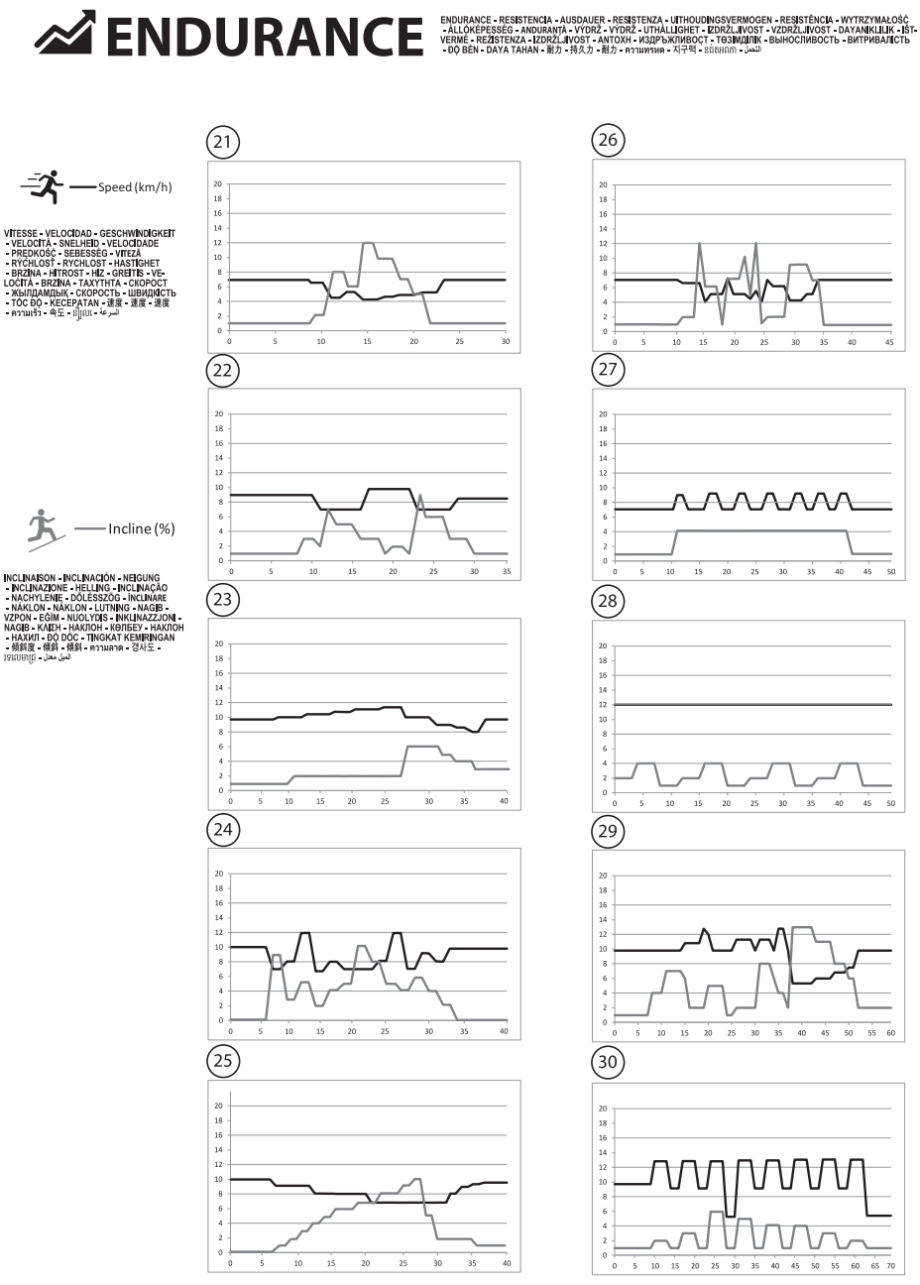 Programme Endurance T990A.png Programme Endurance T990A.png