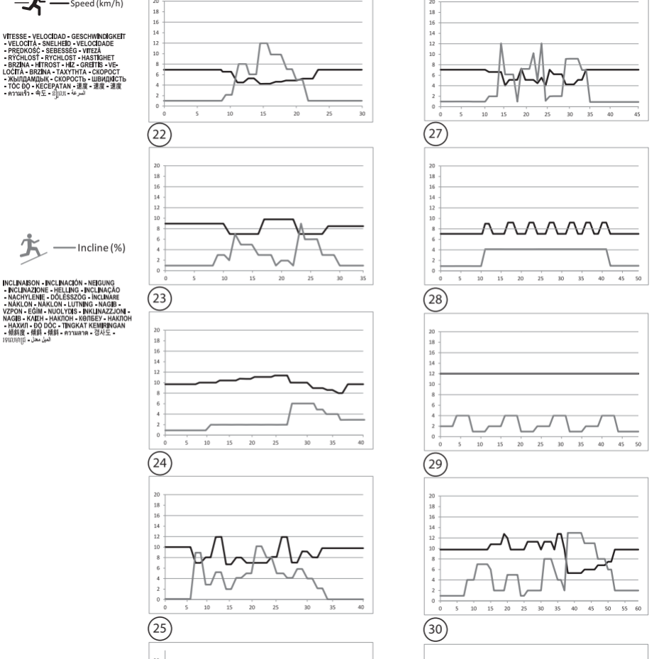 Programa Endurance T990A.png