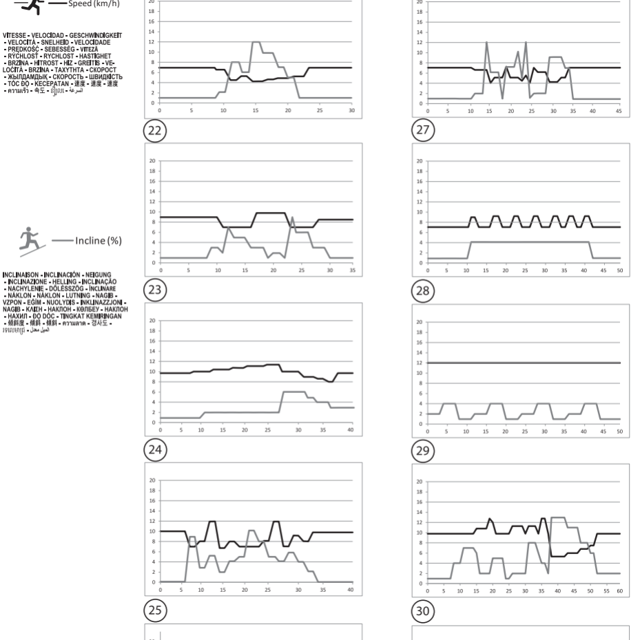 Programme Endurance T990A.png