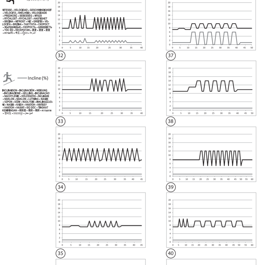 Programme Interval training T990A