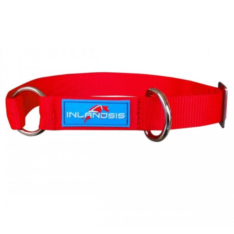 Collier pour chien réglable.