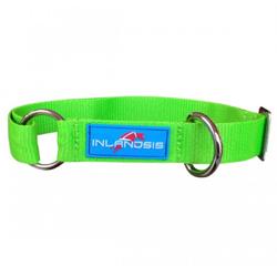 Collier pour chien réglable Summit vert.