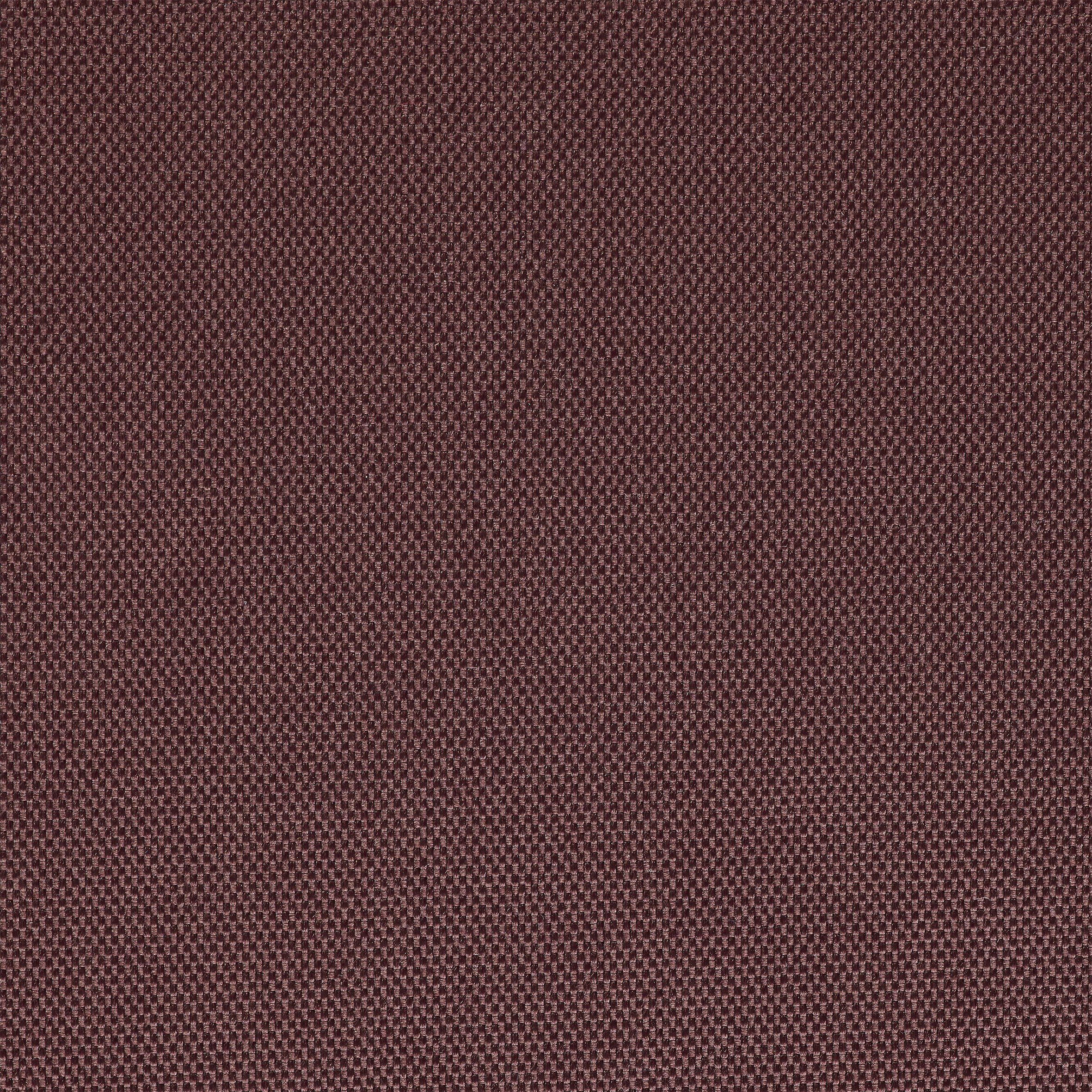 Tapis chien épaisseur 2cm marron 100 3/3