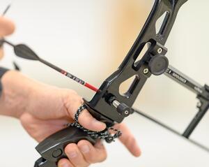 conseil_berger_button conseil_berger_button