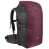 Travel Trekking 100 Backpack 40L - Bordeaux
