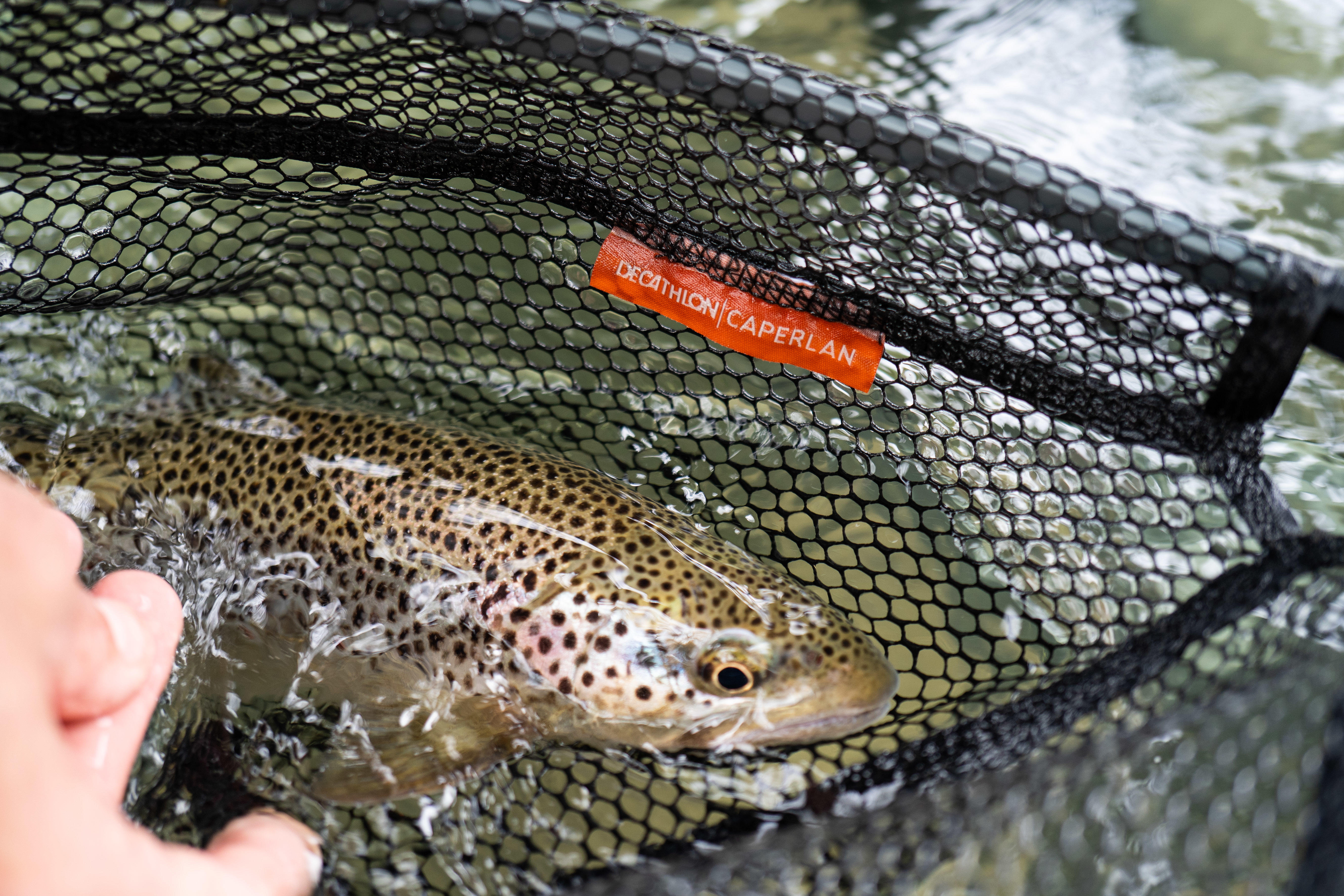 TROUT FISHING RN100 RACKET LANDING NET - CAPERLAN