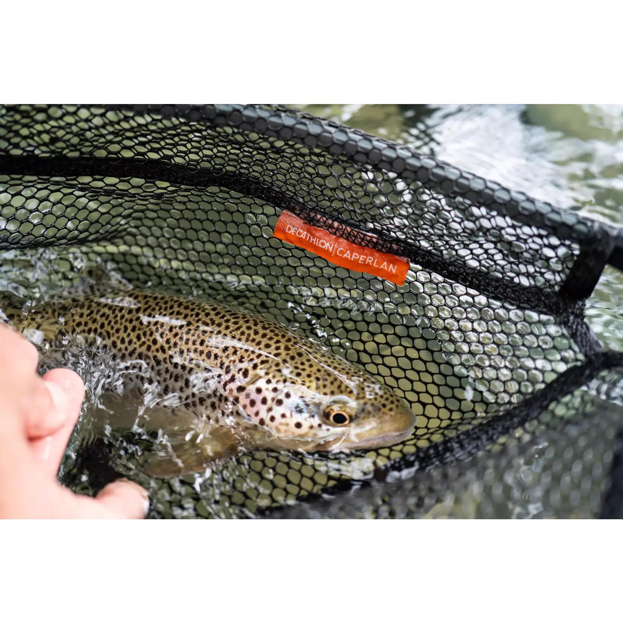 COMMENT CHOISIR SON EPUISETTE POUR LE CARNASSIER