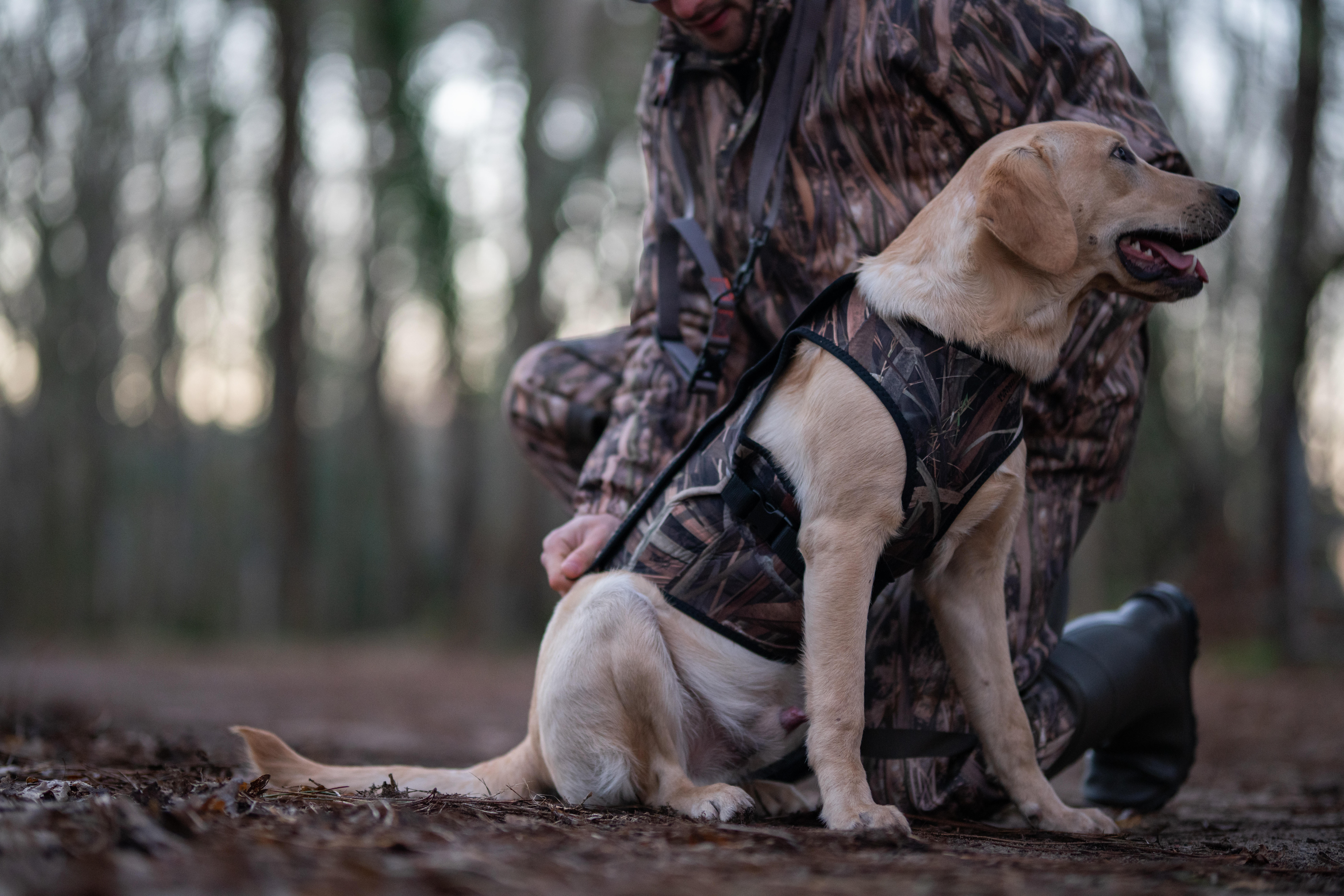 Neoprene dog vest 900 pro wetland camouflage - SOLOGNAC