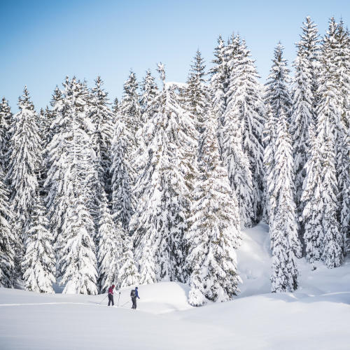 paysage ski raquette