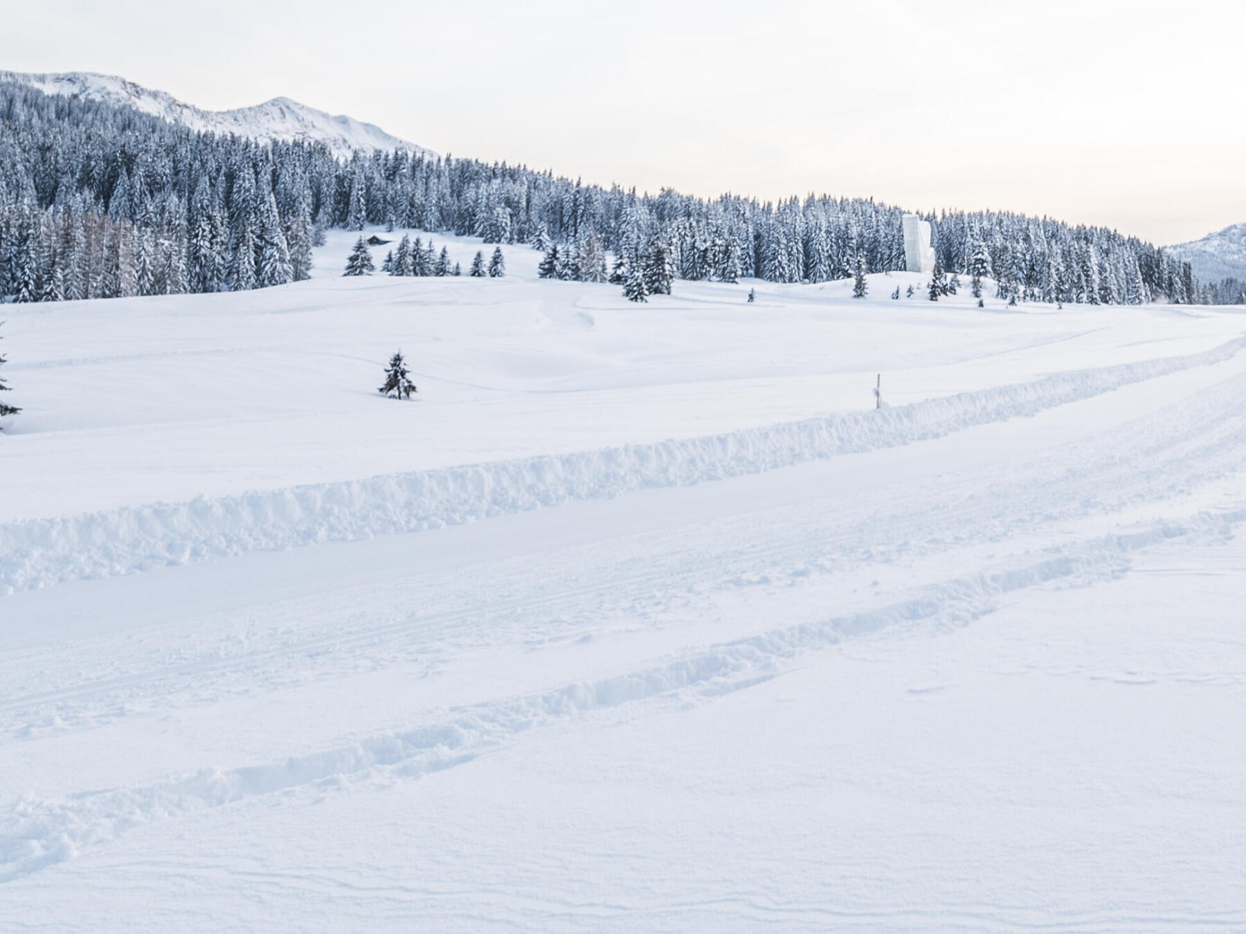 Ski touring, an ideal activity for the whole family!