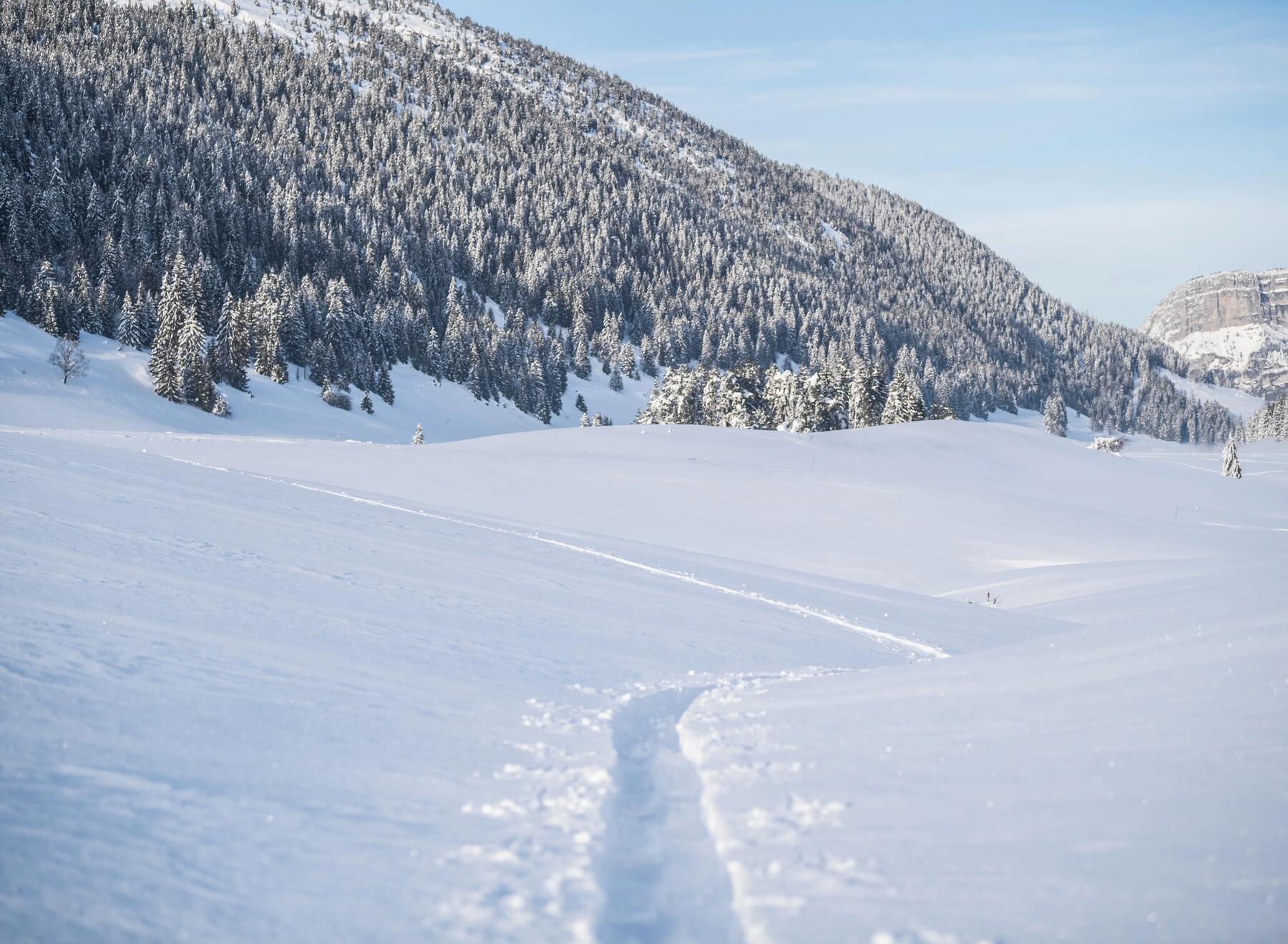 A cross-country ski trail with a view of a mountain