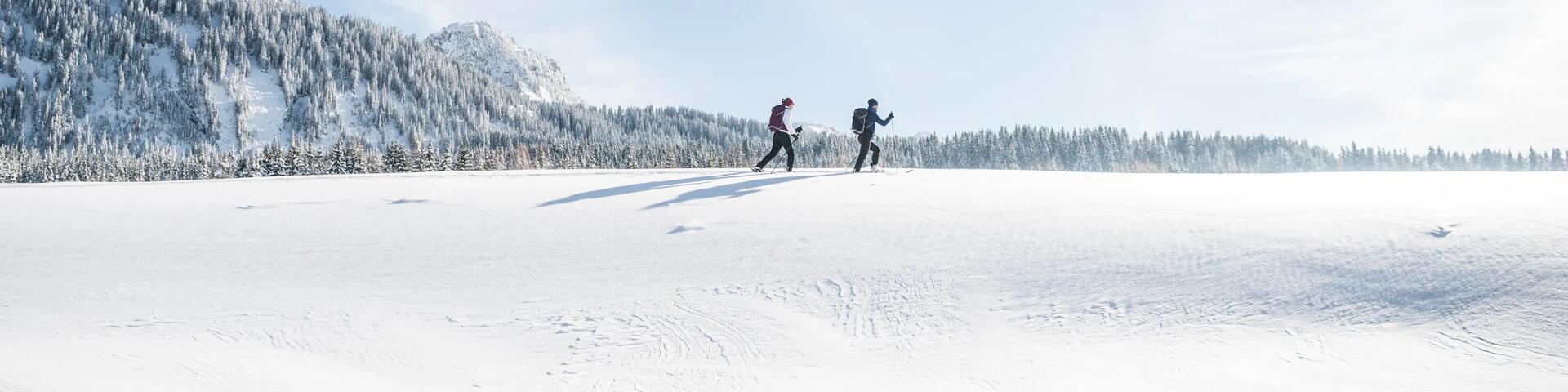 Two people cross-country skiing