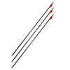 Bow hunting carbon arrow 28" pulley 400 spine x3