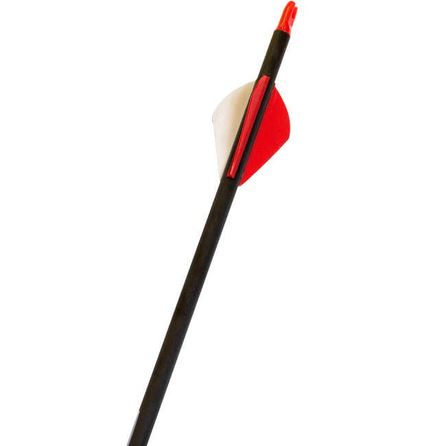 SOLOGNAC Compound Bow Arrow 28" 400 Spine x3 Decathlon