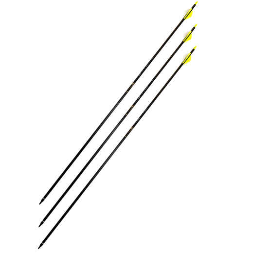 
      Pulley bow hunting 31.5" carbon arrow, 340 spine x3
  