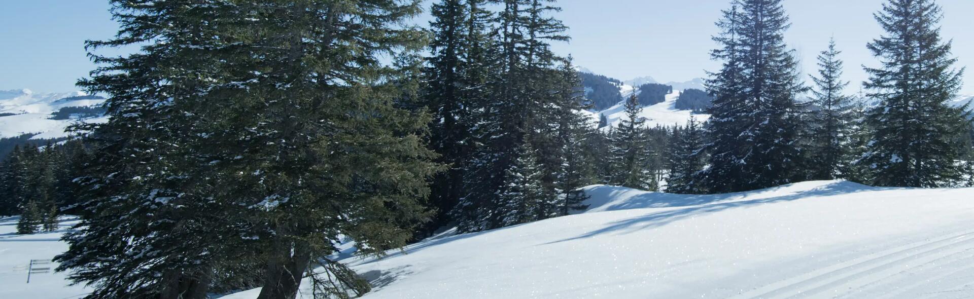 Our 5 favourite cross-country ski resorts in Savoie and Haute-Savoie!