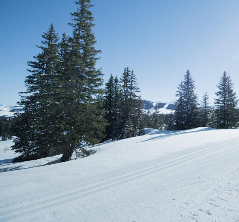 Nos 5 stations de ski de fond préférées en Savoie et Haute-Savoie