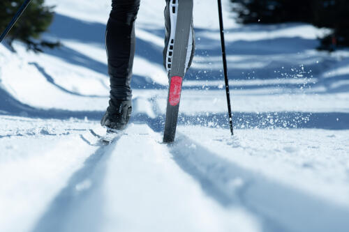 How to choose your classic cross-country skis