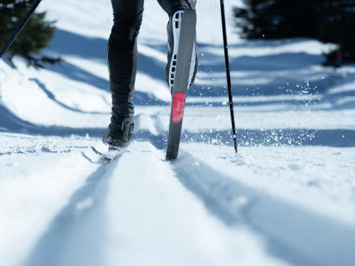 How to choose your classic cross-country skis