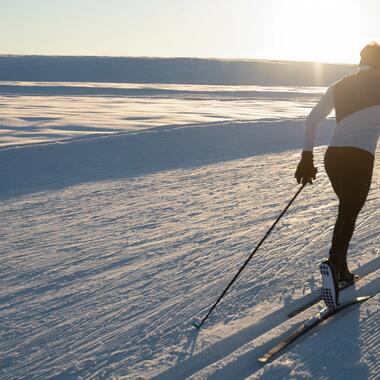 skifond