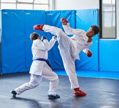 karate karate