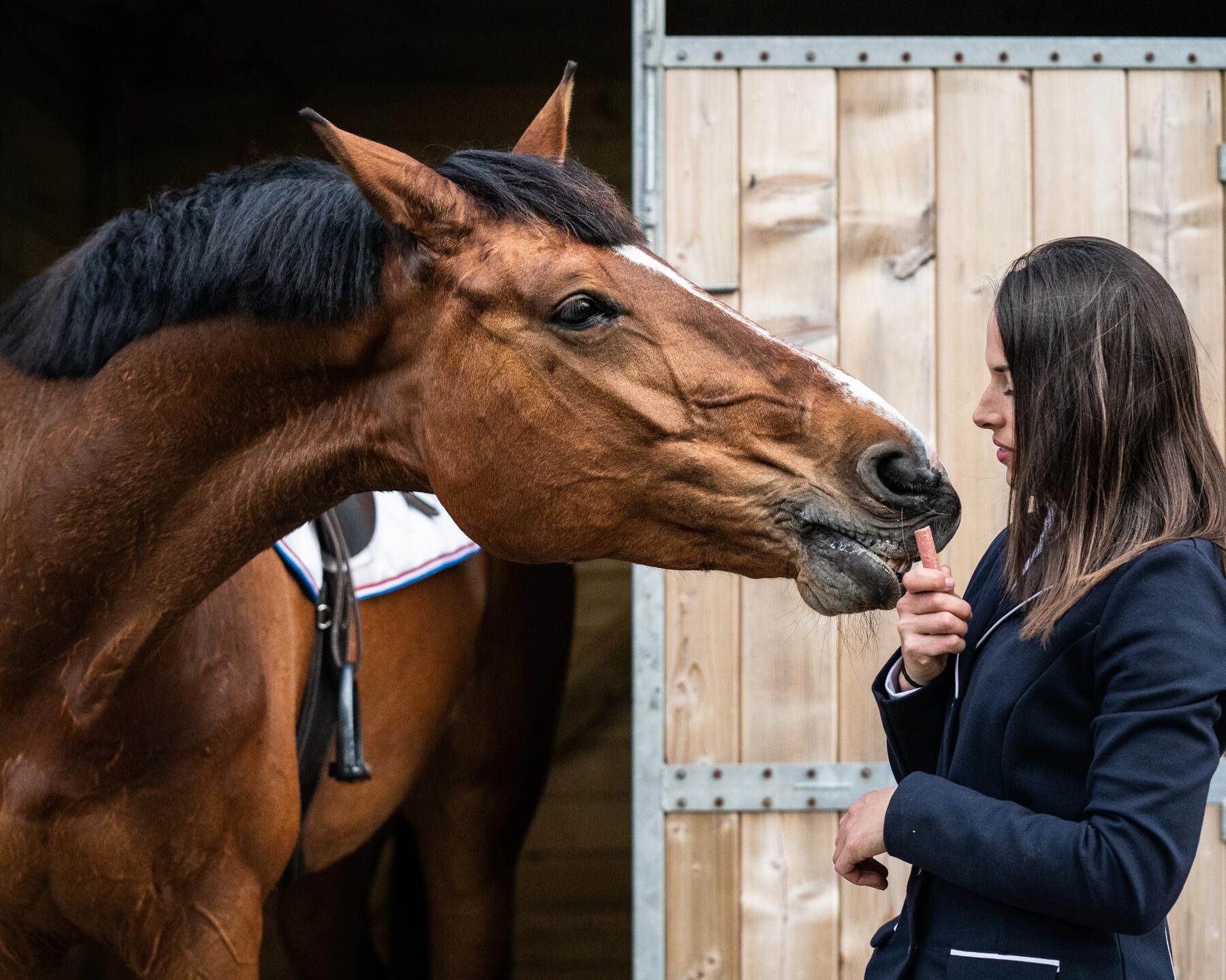 Alt/zorgen-voor-je-paard-winter