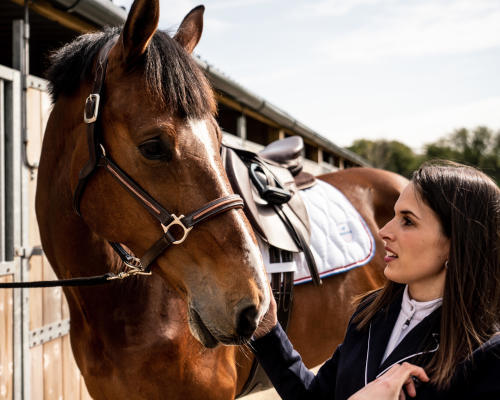 La briderie d'un cheval