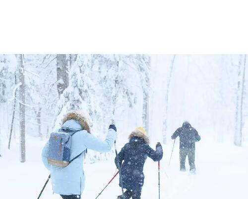 Alegerea echipamentului pentru drumeție cu rachete de zăpadă - titlu