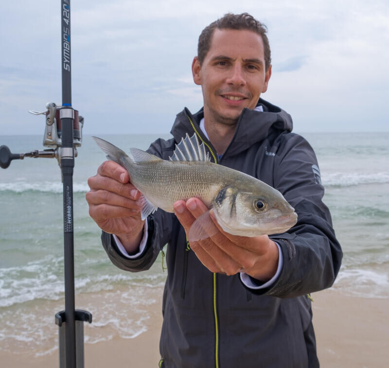 Seabass