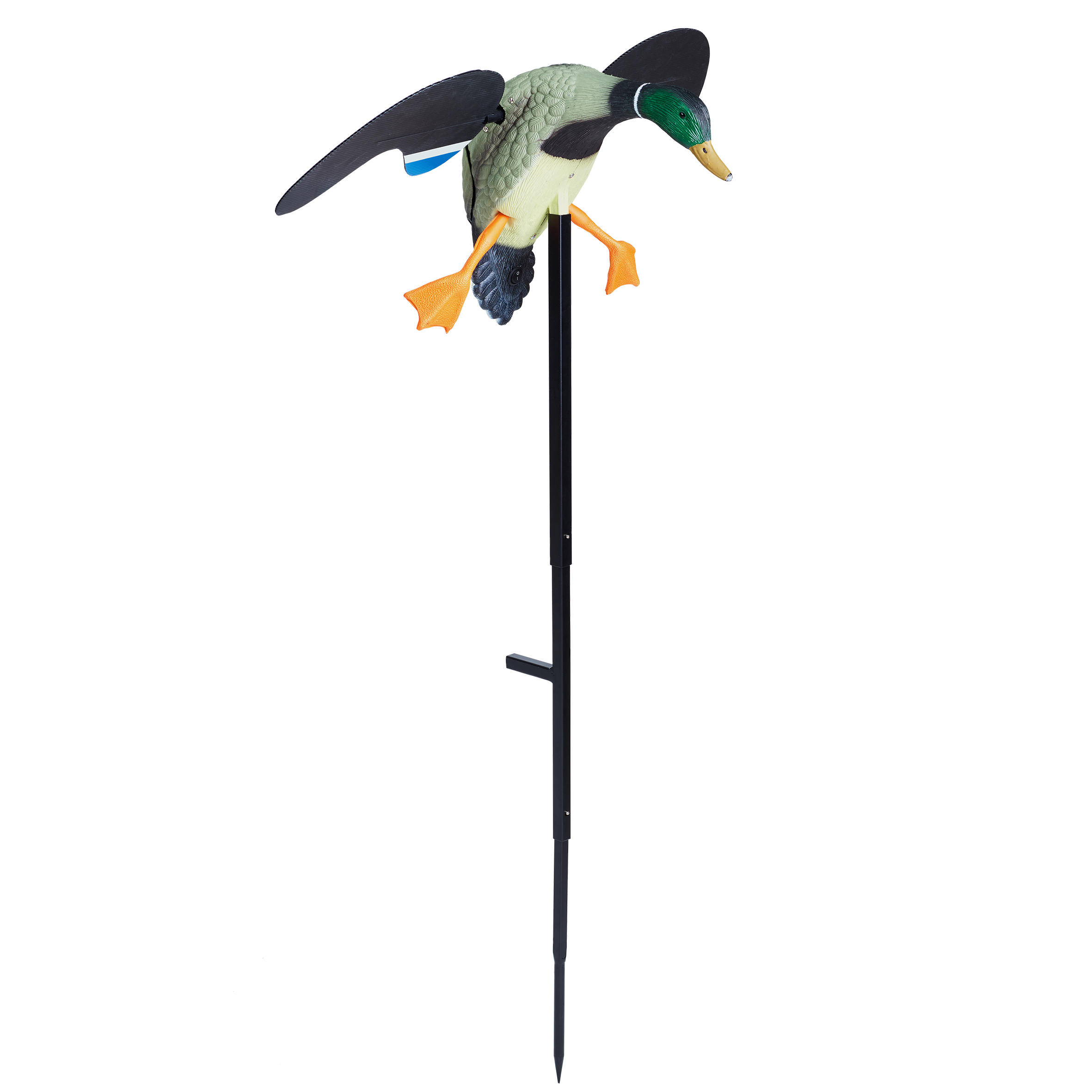 ELEKTRISCHE LOKVOGEL WILDE EEND MET DRAAIENDE VLEUGELS 8/12