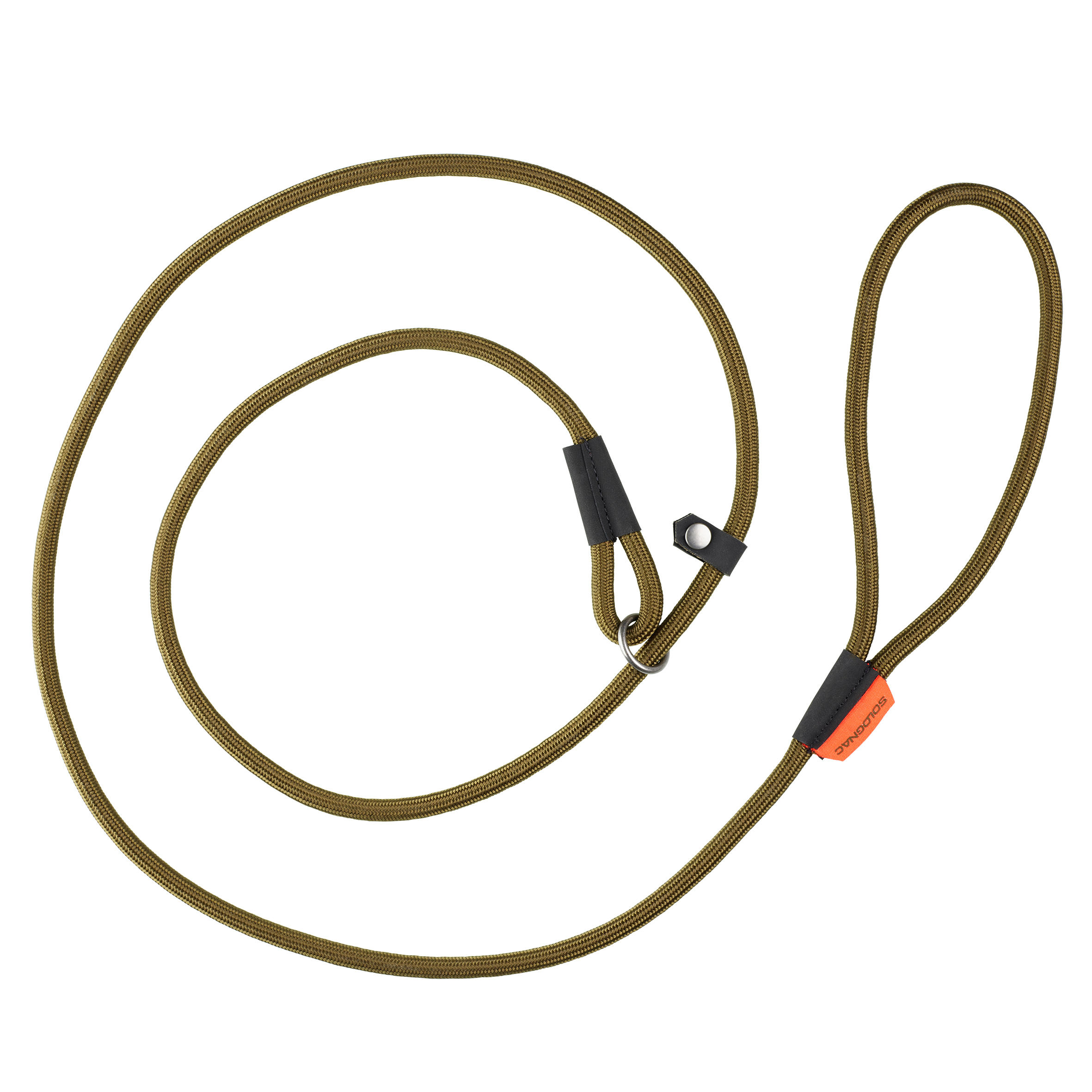 lasso dog leash