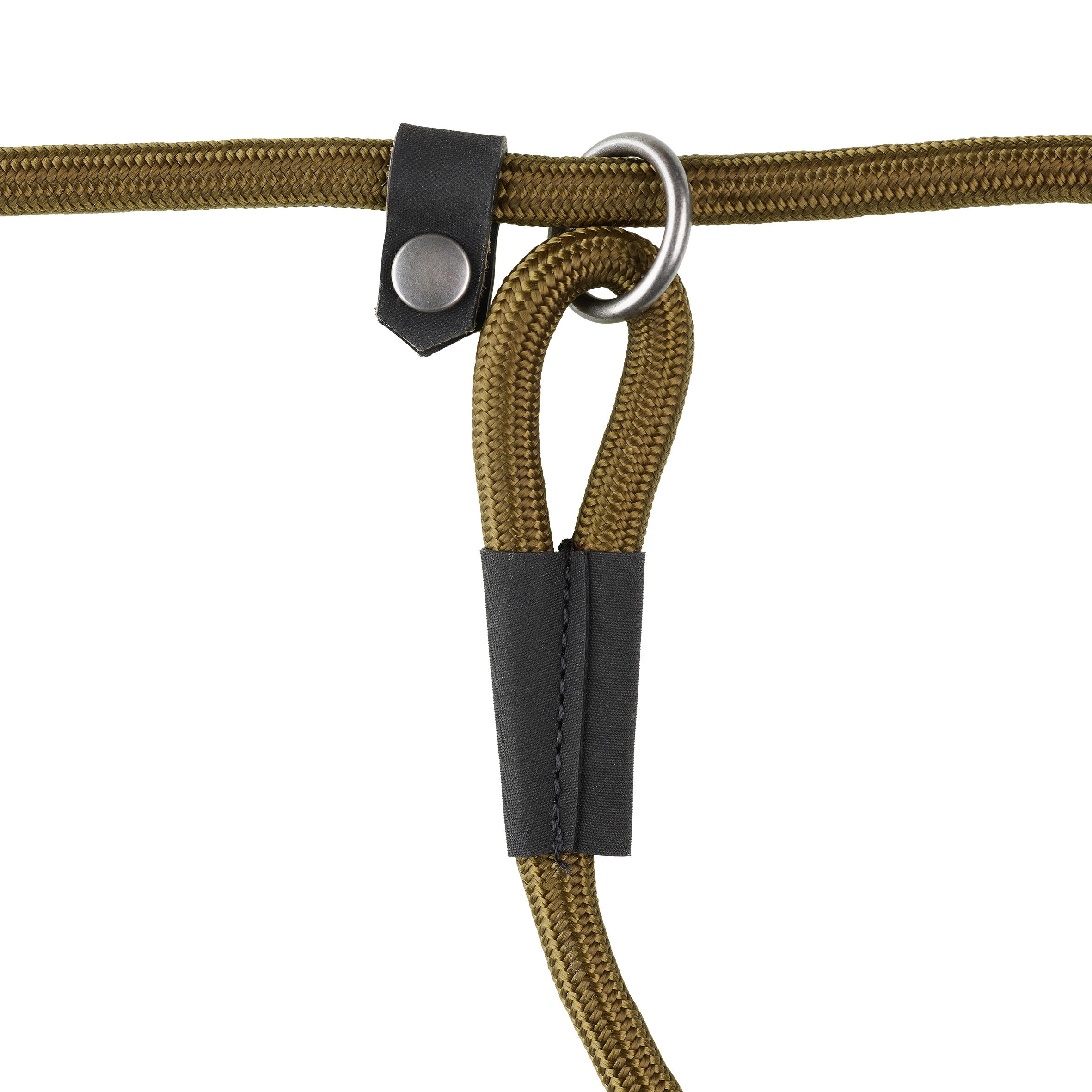 lasso dog leash