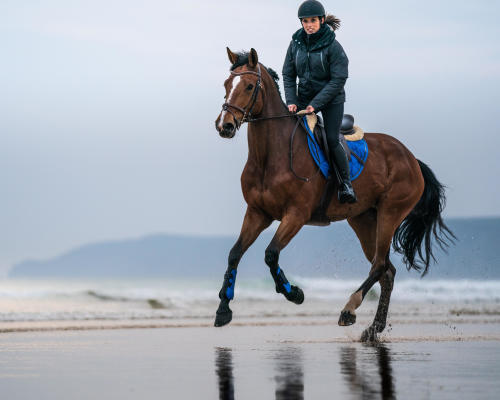 Galoper sur une plage avec son cheval