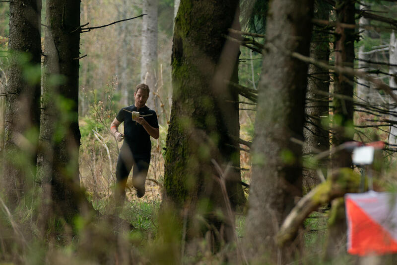 Besoin d'air frais ? Pourquoi pas une promenade dans les bois et forêts ?