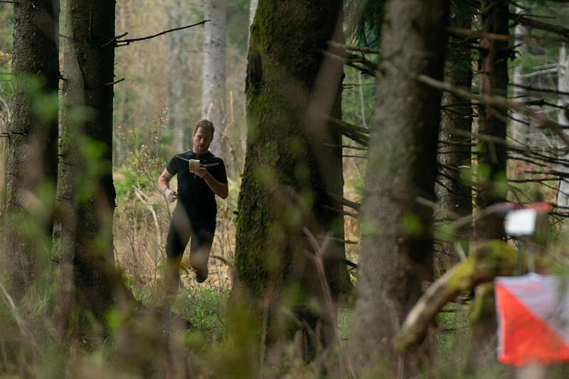 Nood aan verkoeling? Ga wandelen in het bos!