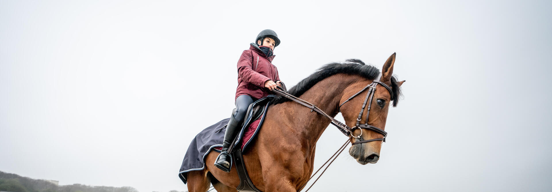 Les bons réflexes de l'hiver à cheval et aux écuries