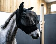 proteger_son_cheval_des_insectes