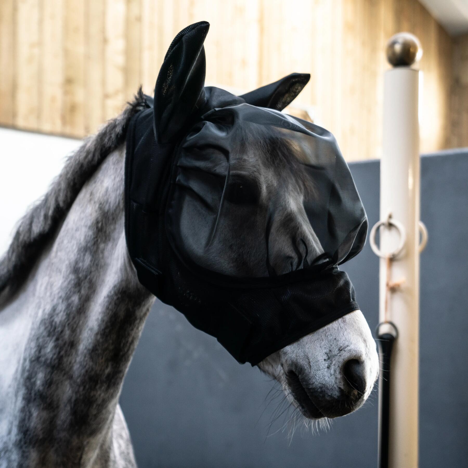 fly-mask-masque-anti-mouche-cheval